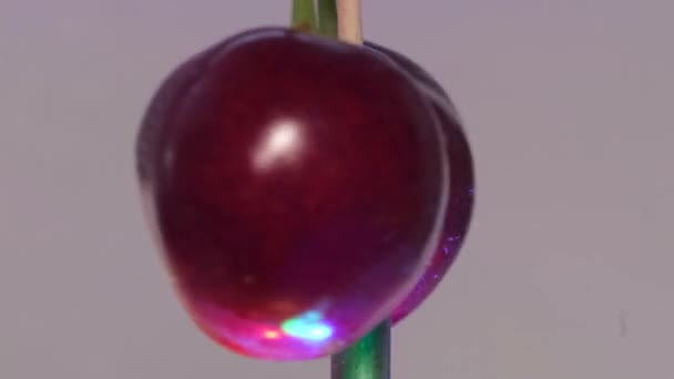 Macro shot of ripe juicy dark red cherries rotating on white background. — Stock Video