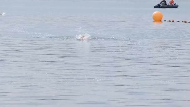 Ένας νεαρός κολυμπάει σε ένα διαγωνισμό. Κολύμπι και υγιεινό τρόπο ζωής. — Αρχείο Βίντεο