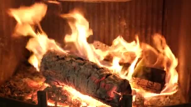В домашнем камине горит огонь. — стоковое видео