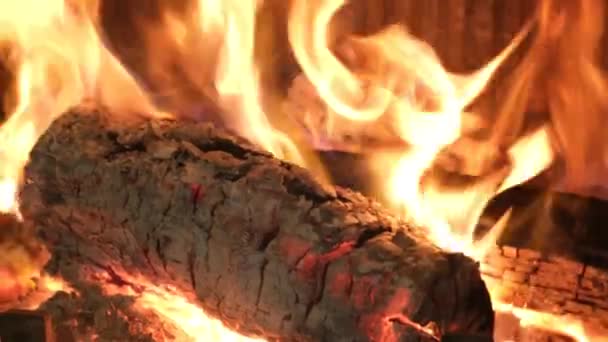 V krbu hoří oheň.. — Stock video
