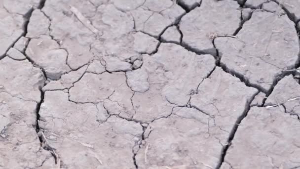 Suelo seco con grietas. Sequía en el campo. Mal año — Vídeos de Stock