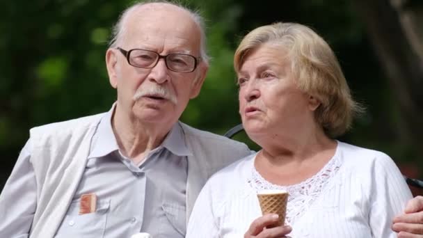 Gli amanti in pensione passano del tempo insieme, si divertono a parlare tra loro. — Video Stock