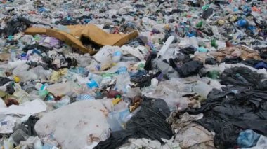 Ukrayna Karpatlarında plastik atık. Doğa için ekolojik felaket.