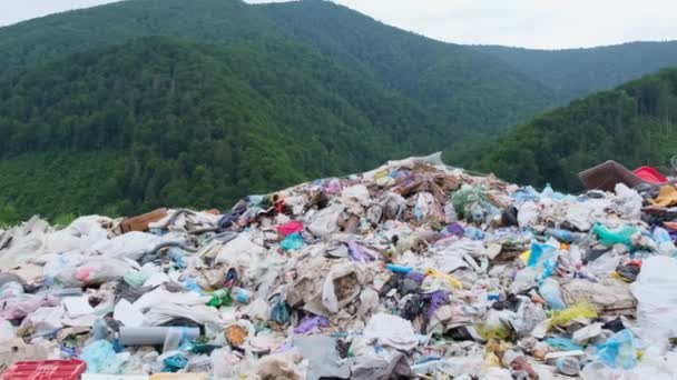 Rifiuti di plastica nei Carpazi ucraini. Catastrofe ecologica per la natura. — Video Stock