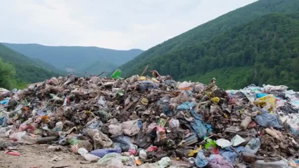 Foreste contaminate con detriti di plastica. Catastrofe ambientale su larga scala per la natura. — Video Stock