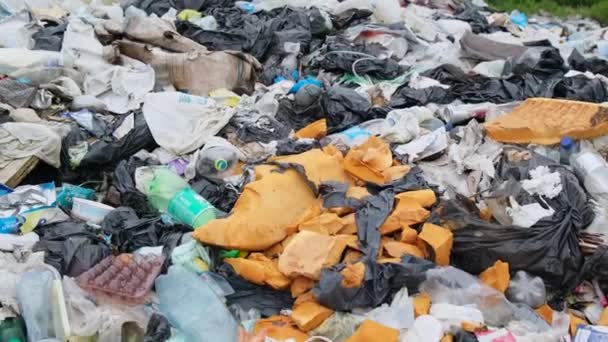 Большая свалка токсичных пластиковых отходов. Крупномасштабная экологическая катастрофа для природы. — стоковое видео