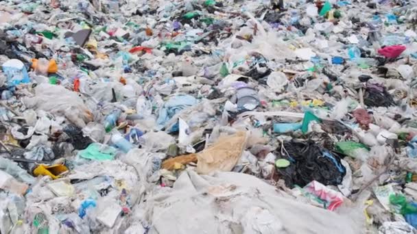 Das Problem des Abfallrecyclings. Ökologische Katastrophe für die Natur. — Stockvideo