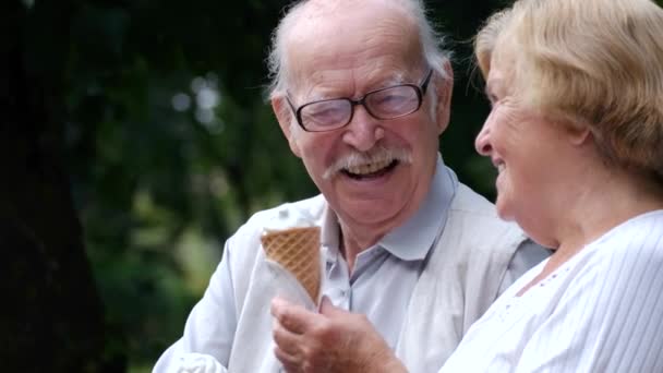Зріла пара сидить на лавці парку і їсть морозиво в сонячний день — стокове відео