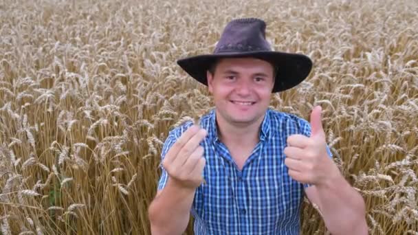 Фермер держит в руках колосок пшеницы.. — стоковое видео