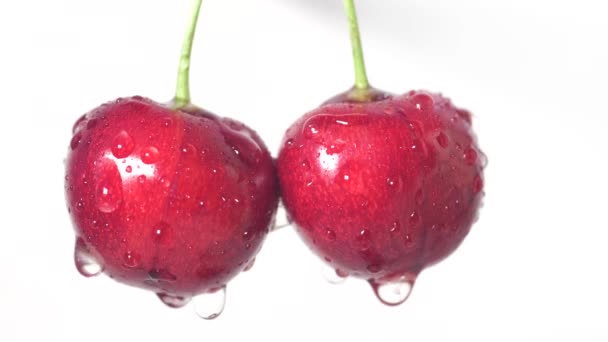 Gocce d'acqua sulle bacche di ciliegia fresca . — Video Stock