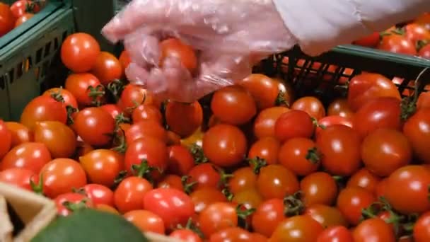 Kadın eli marketteki bir kutudan sarı domates seçer. — Stok video