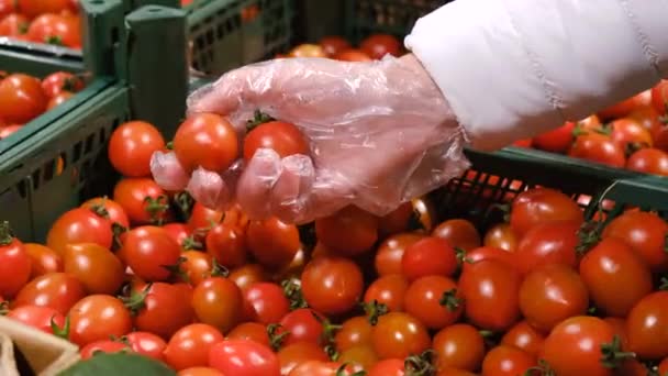 Mujer compra tomates cherry en el mercado de verduras — Vídeos de Stock