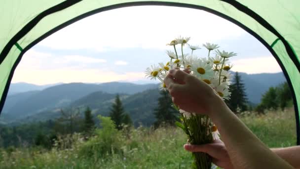 여자들 이손에 하얀 데이지 꽃 다발을 들고 있는 여름 카모 마일. — 비디오