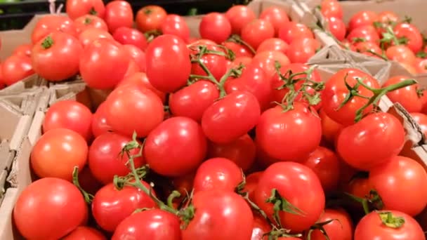 Tomates rojos en cajas de cartón en el mercado. — Vídeos de Stock