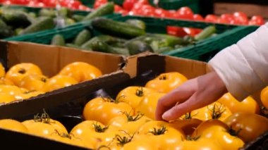 Kadın eli, marketteki bir kutudan sarı domates seçiyor.. 