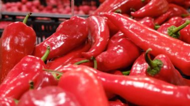 Kırmızı biberin yakın çekimi. Çiftlikte sebze topluyorum.. 