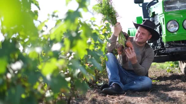 Um agricultor americano perto de um trator inspeciona uma colheita de cenoura no Colorado, EUA — Vídeo de Stock