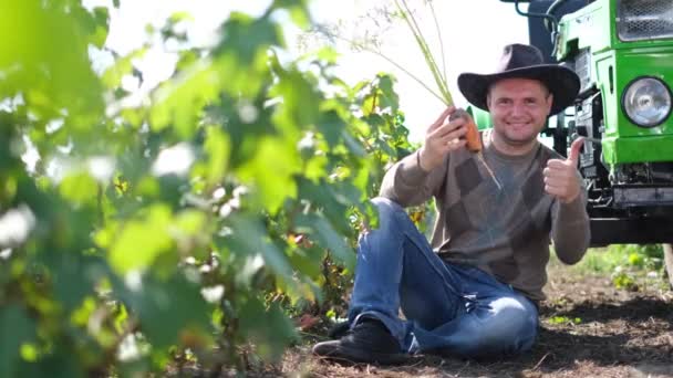 Ein Landwirt inspiziert eine Möhrenernte, während er neben seinem Traktor auf einem Feld sitzt. — Stockvideo