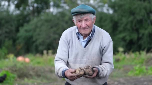 Gelukkige senior boer toont zijn biologische aardappelen. — Stockvideo