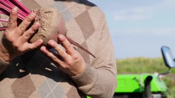 Ένας αγρότης κρατά ένα φρέσκο βιολογικό τεύτλο στο χέρι του. Κλείσιμο. — Αρχείο Βίντεο