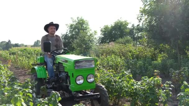 Boer werkt in het veld op een groene mini trekker. — Stockvideo