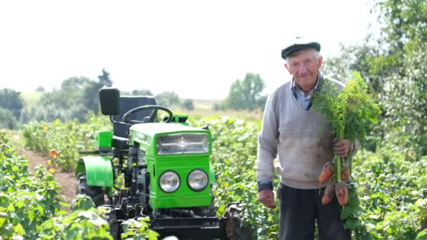 Senior farmář ukazuje sklizeň na poli v létě. — Stock video