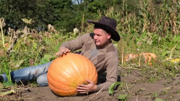 Big harvest of pumpkins. Happy rural farmer is photographed near pumpkins. — Stock Video