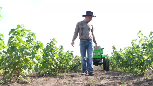 De boer inspecteert zijn veld. Het begrip tuinieren. — Stockvideo