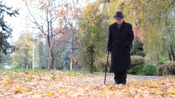 Um avô idoso em um casaco preto com uma vara caminha no parque de outono. — Vídeo de Stock