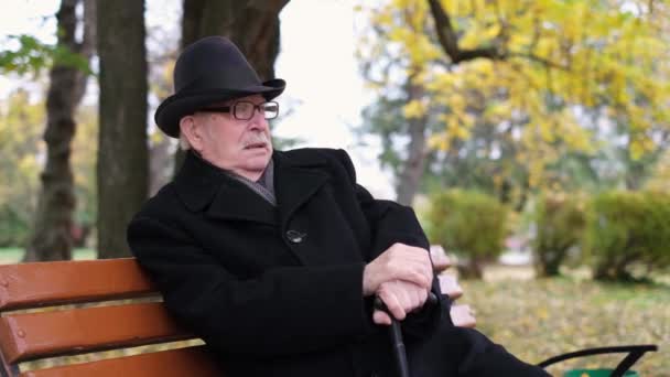 Älterer Großvater sitzt auf einer Bank im Herbstpark. — Stockvideo