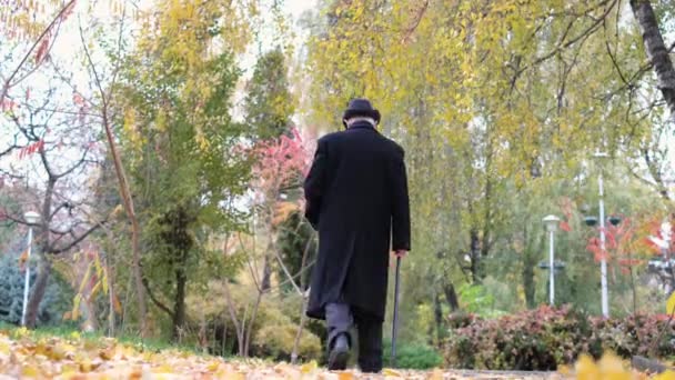Egy magányos idős férfi sétál a központi őszi parkban.. — Stock videók