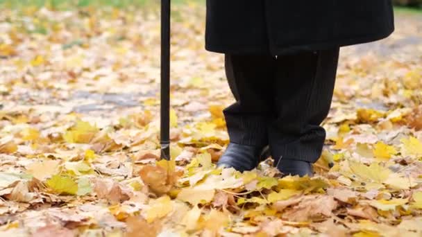 En äldre man med synnedsättning försöker gå genom stadens höstpark. — Stockvideo