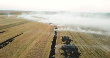 Buğday tarlasında yangın. Sahada çok duman var.
