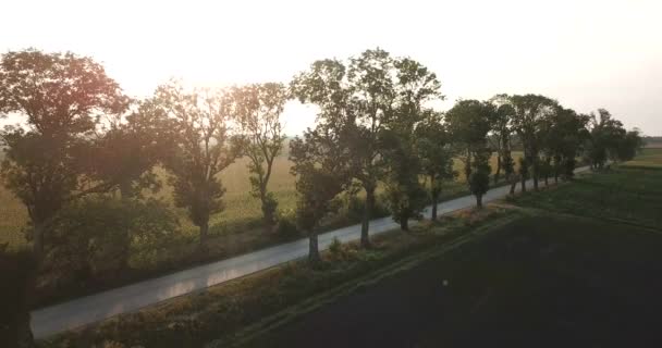 日落时分，一辆漂亮的越野车在沥青路面上行驶. — 图库视频影像