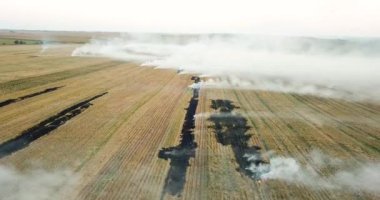 Çevre felaketi, kırsal bölgedeki bir alanda yangın.. 