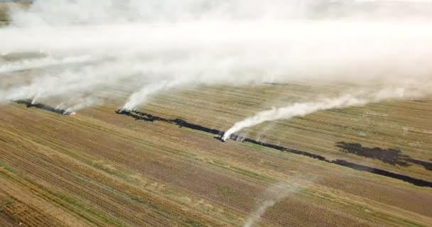 Brand in een veld op het platteland. Een milieuramp voor plattelandsbedrijven. — Stockvideo