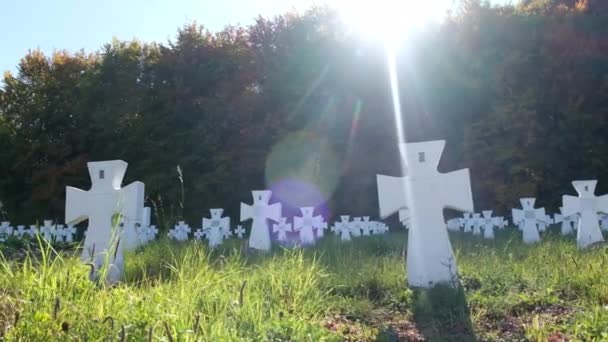 Witte Kruis graf van de Tweede Wereldoorlog troepen in de Oekraïense — Stockvideo