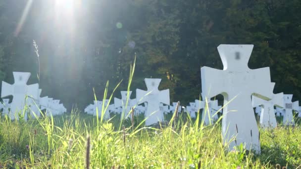 Cemitério de soldados ucranianos da Segunda Guerra Mundial. — Vídeo de Stock