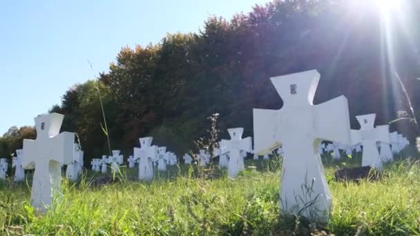 Galiçya 'nın Ukrayna Bölgesi Dünya Savaşı askerleri için haçlı mezarlığı. — Stok video