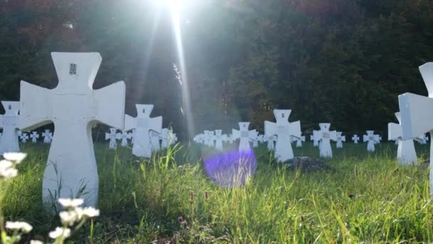 Cementerio con cruces para soldados de la Guerra Mundial de la División Ucraniana de Galicia — Vídeos de Stock