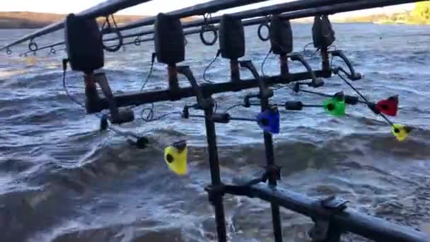 Рибальські палички для риболовлі коропа. Концепція дозвілля та риболовлі — стокове відео