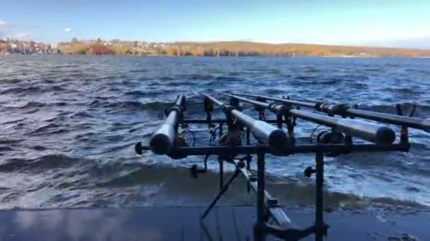 Tiges de pêche pour la pêche à la carpe. Concept de loisirs et de pêche — Video