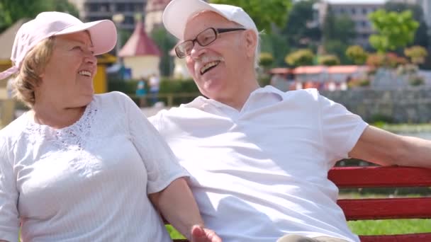 Veselý starší pár sedí v letním parku a baví. — Stock video