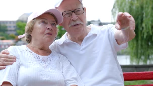 Glückliches älteres Paar sitzt auf einer Parkbank. — Stockvideo