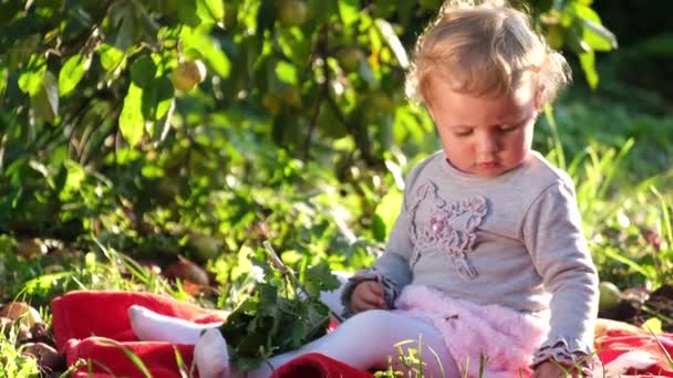 Όμορφο κοριτσάκι κάθεται σε μια κουβέρτα στον κήπο. — Αρχείο Βίντεο