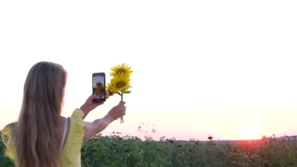 Mooi meisje neemt foto 's van zonnebloem bloemen op een smartphone. — Stockvideo