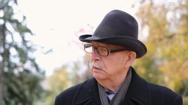 秋の都市公園を歩く眼鏡と黒い帽子のおじいさん — ストック動画