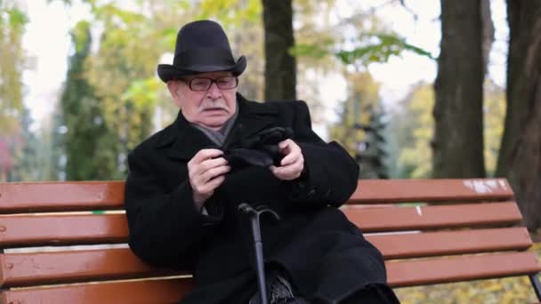 Un abuelo solitario con gafas lleva guantes negros, está sentado en un banco en el parque de otoño. — Vídeos de Stock