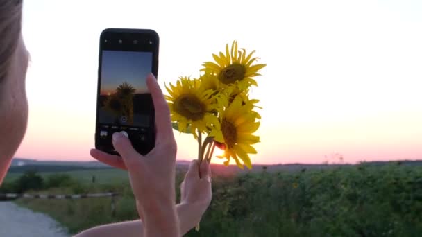 Красива дівчина фотографує квіти соняшнику на смартфоні . — стокове відео