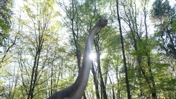 Парк Юрского Периода Движущиеся Модели Динозавров Реалистичные Динозавры — стоковое видео